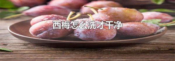 西梅怎么洗才干净