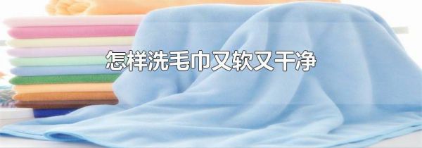 怎样洗毛巾又软又干净