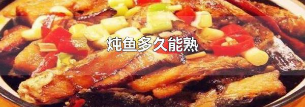 炖鱼多久能熟