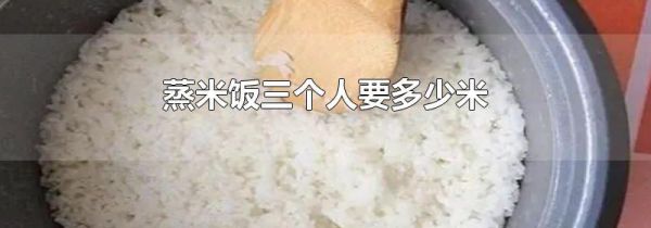 蒸米饭三个人要多少米