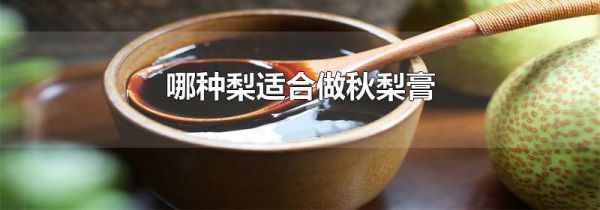 哪种梨适合做秋梨膏
