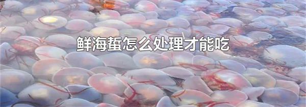 鲜海蜇怎么处理才能吃