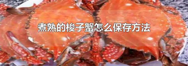 煮熟的梭子蟹怎么保存方法