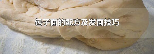 包子面的配方及发面技巧