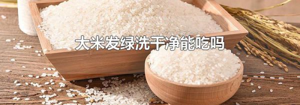 大米发绿洗干净能吃吗