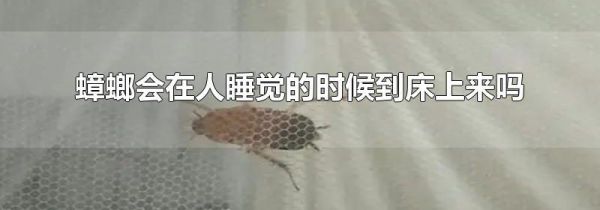 蟑螂会在人睡觉的时候到床上来吗