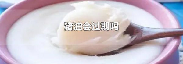 猪油会过期吗