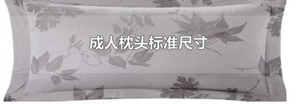 成人枕头标准尺寸