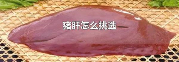 猪肝怎么挑选