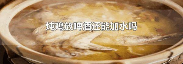 炖鸡放啤酒还能加水吗
