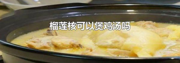 榴莲核可以煲鸡汤吗