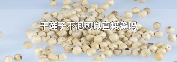 干莲子不泡可以直接煮吗