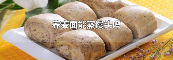 荞麦面能蒸馒头吗