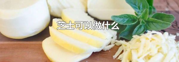 芝士可以做什么