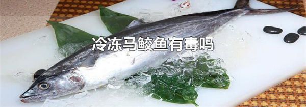 冷冻马鲛鱼有毒吗