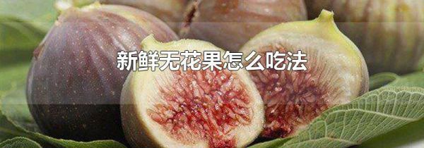 新鲜无花果怎么吃法