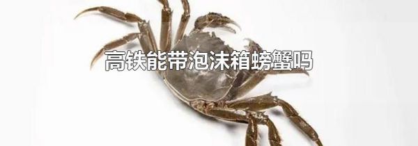高铁能带泡沫箱螃蟹吗