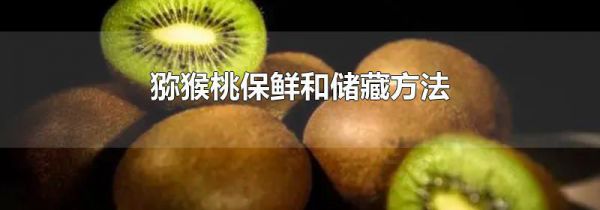猕猴桃保鲜和储藏方法