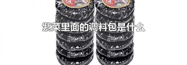 紫菜里面的调料包是什么