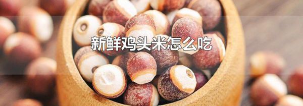 新鲜鸡头米怎么吃