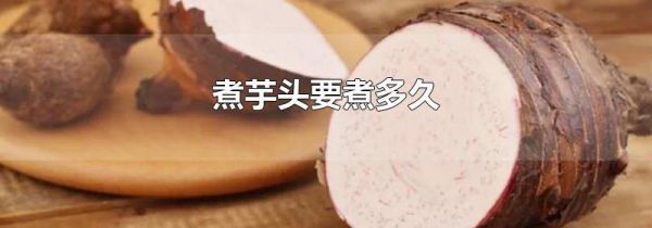 煮芋头要煮多久
