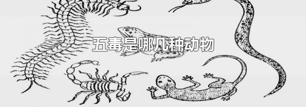 五毒是哪几种动物