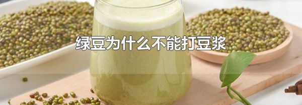 绿豆为什么不能打豆浆