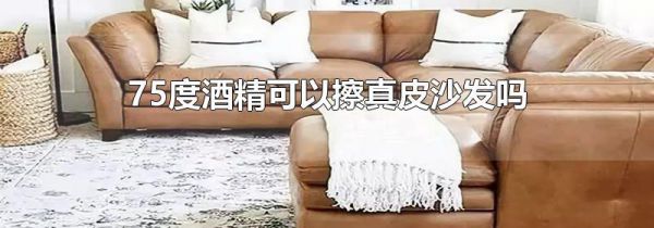 75度酒精可以擦真皮沙发吗