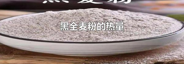 黑全麦粉的热量