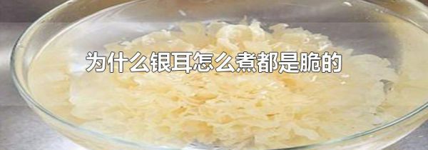 为什么银耳怎么煮都是脆的