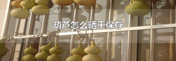 葫芦怎么晒干保存
