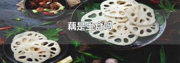 藕是主食吗