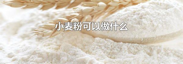 小麦粉可以做什么