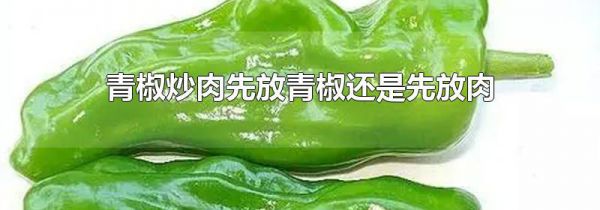 青椒炒肉先放青椒还是先放肉