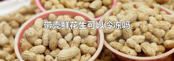 带壳鲜花生可以冷冻吗