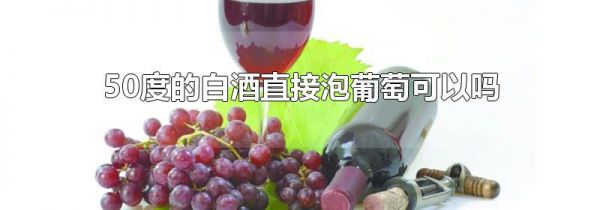 50度的白酒直接泡葡萄可以吗
