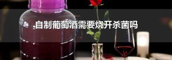 自制葡萄酒需要烧开杀菌吗