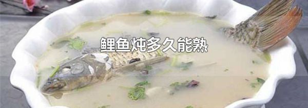 鲤鱼炖多久能熟