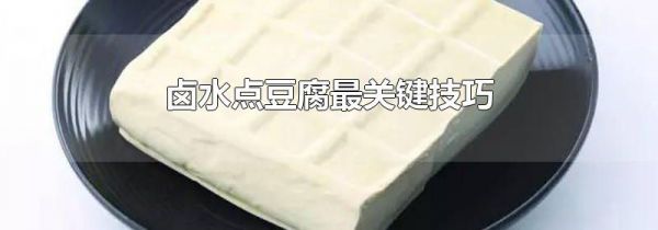 卤水点豆腐最关键技巧