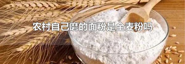 农村自己磨的面粉是全麦粉吗