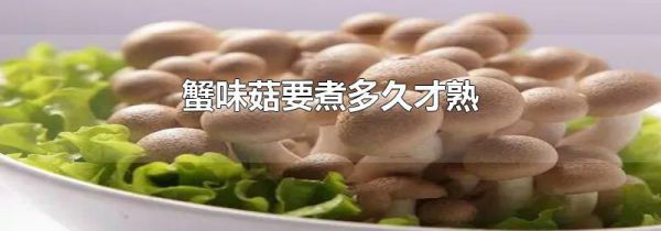 蟹味菇要煮多久才熟
