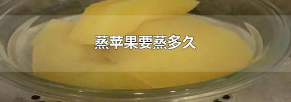 蒸苹果要蒸多久