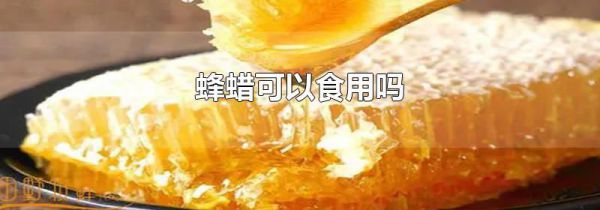 蜂蜡可以食用吗
