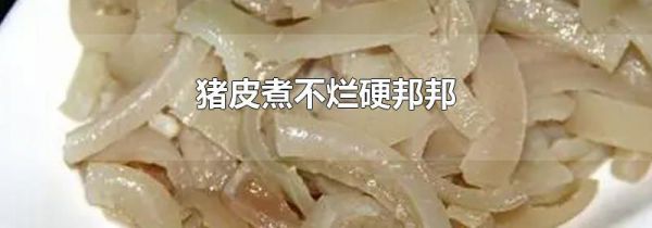 猪皮煮不烂硬邦邦