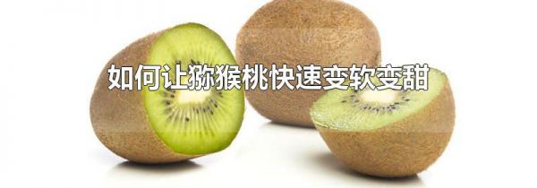 如何让猕猴桃快速变软变甜