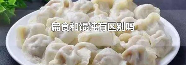 扁食和馄饨有区别吗