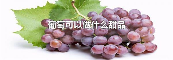 葡萄可以做什么甜品