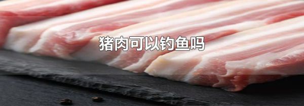 猪肉可以钓鱼吗