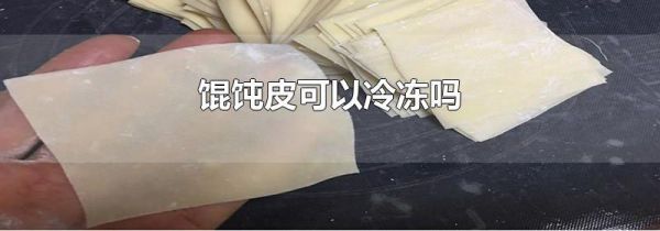 馄饨皮可以冷冻吗