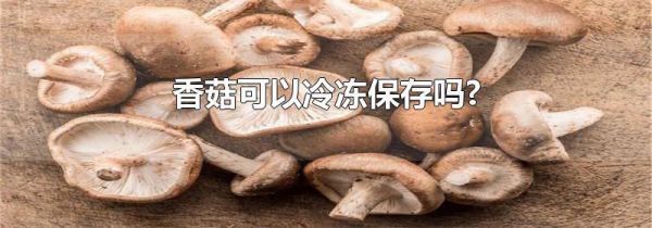 香菇可以冷冻保存吗?